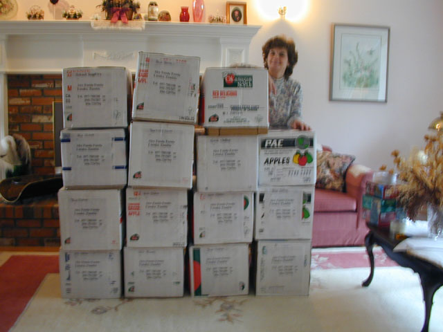 boxes2004.jpg